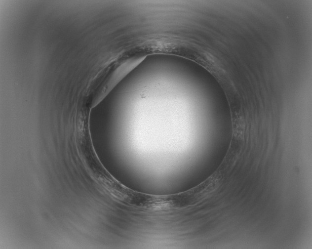 X0000078000456200611101758