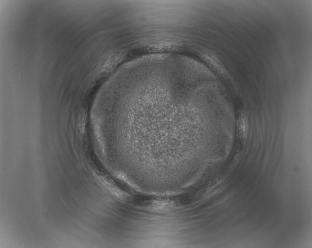 X0000078000458200611101758