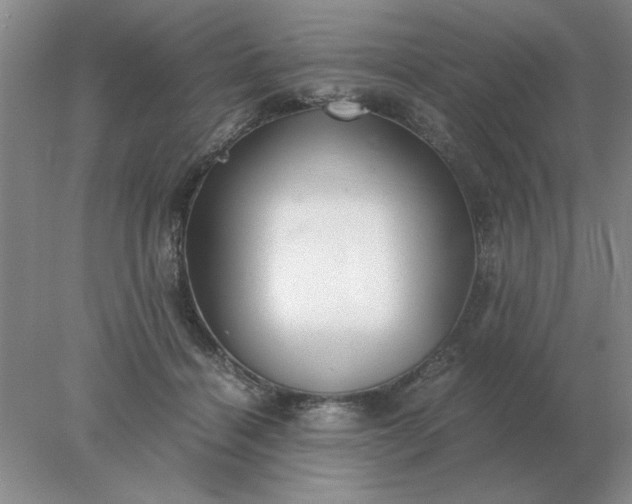 X0000078000460200611101758