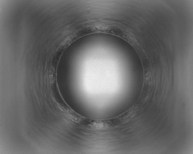 X0000078000464200611101759