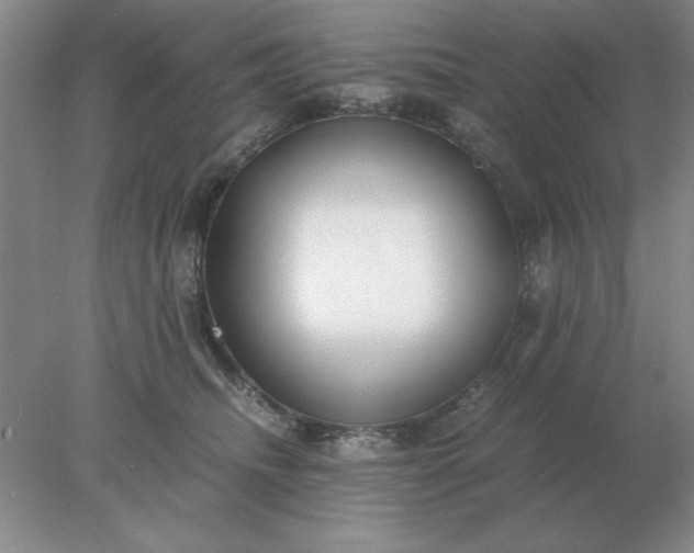 X0000078000468200611101759