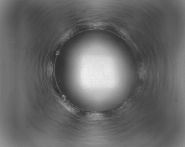 X0000078000476200611101759