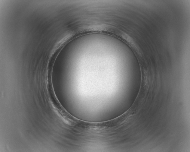 X0000078000486200611101758