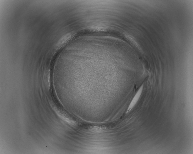 X0000078000494200611101758