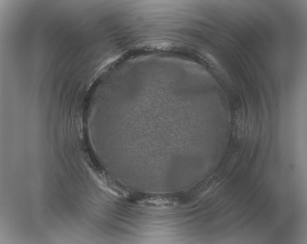 X0000078000500200611101758