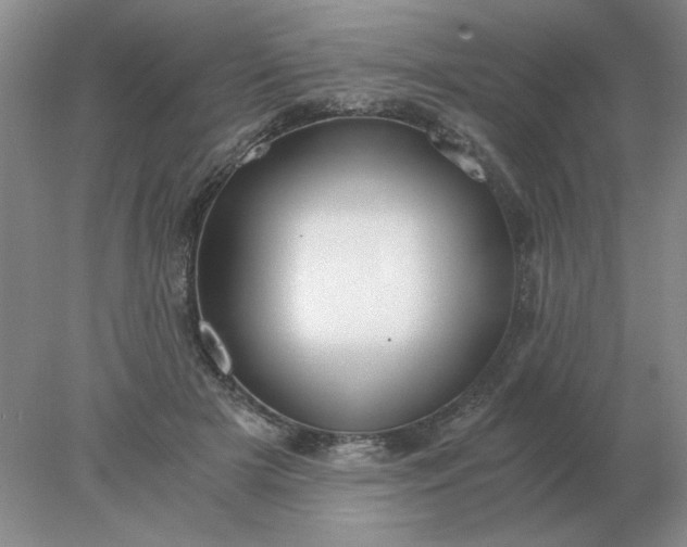 X0000078000505200611101758