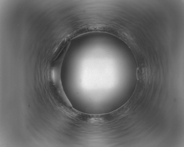X0000078000508200611101758