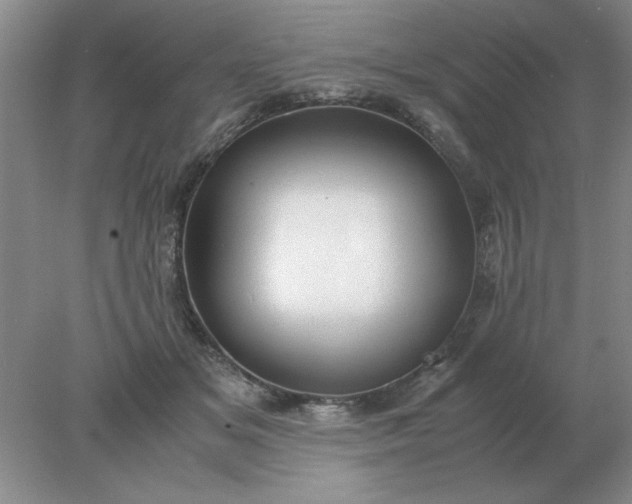 X0000078000509200611101758