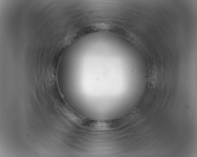 X0000078000518200611101757