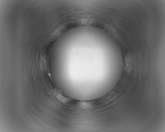X0000078000522200611101757