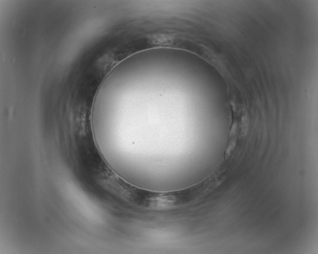 X0000078000525200611101757