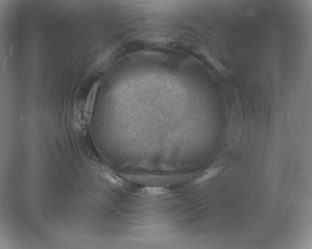 X0000078000528200611101757