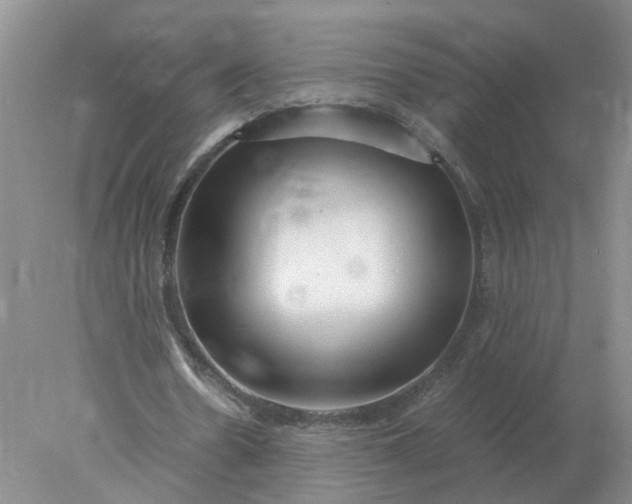 X0000078000530200611101756