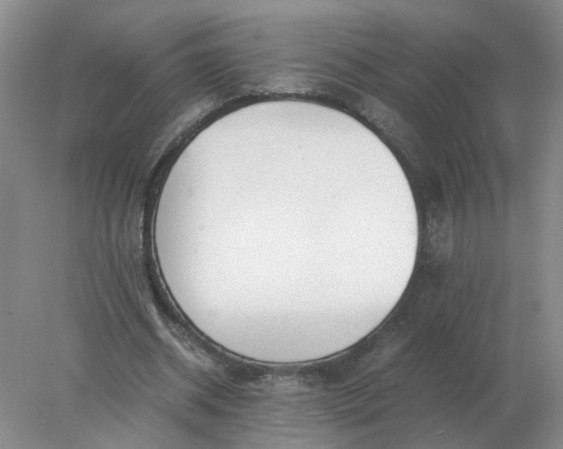 X0000078000534200611101756