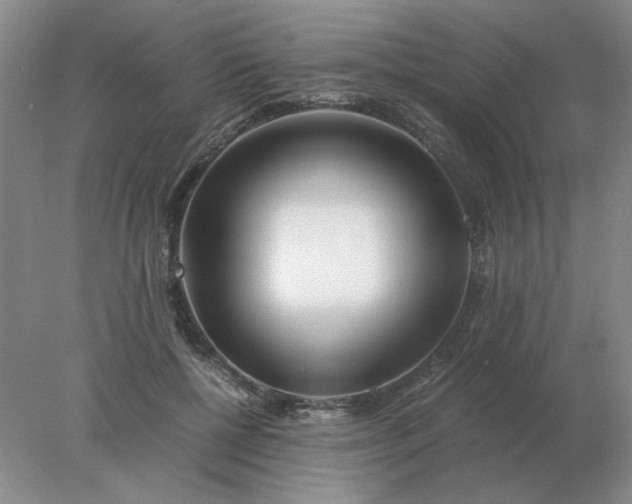 X0000078000552200611101757