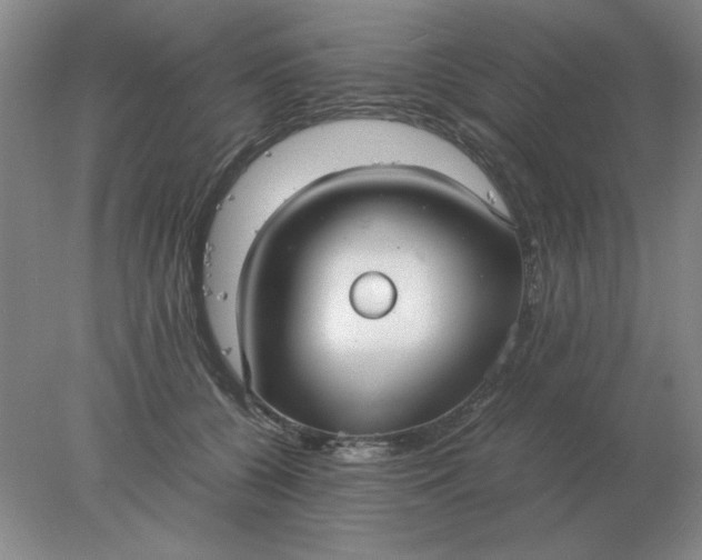 X0000078000560200611101757