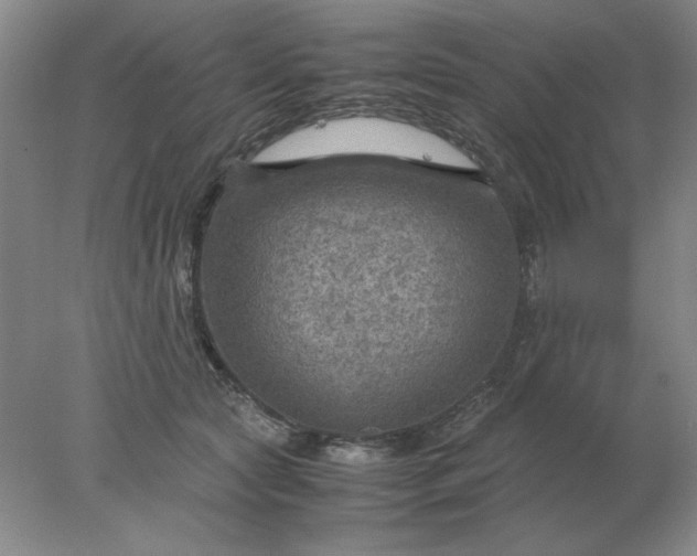 X0000078000561200611101757