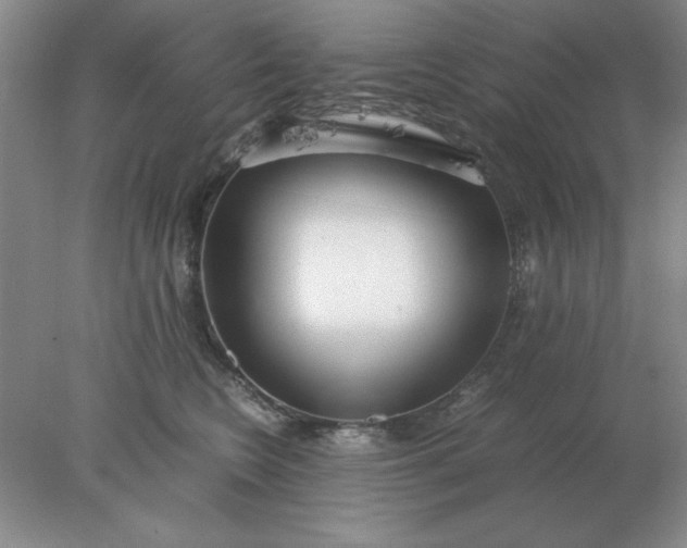 X0000078000566200611101757