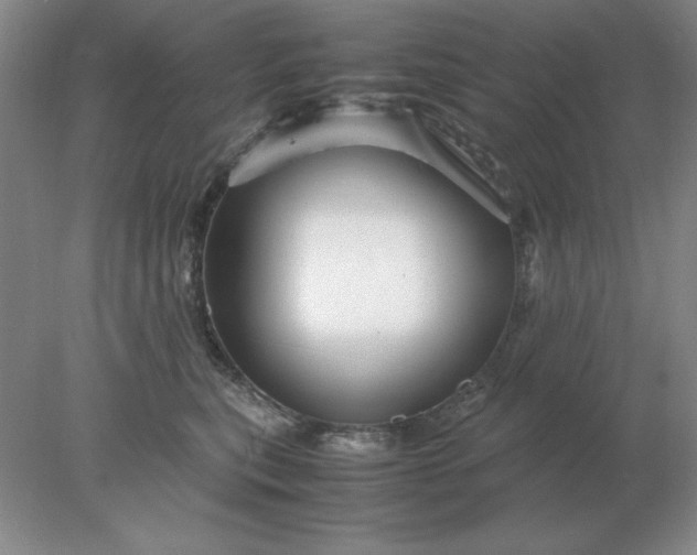 X0000078000567200611101757