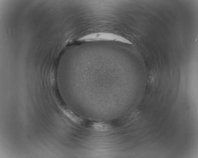 X0000078000568200611101757