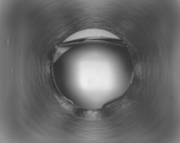 X0000078000570200611101757