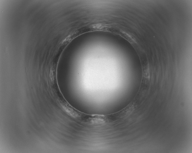 X0000078000572200611101757
