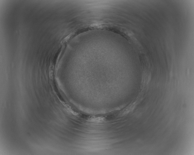 X0000078000576200611101757