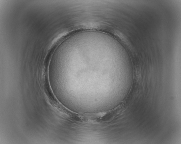 X0000078000583200611101756
