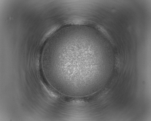 X0000078000586200611101756