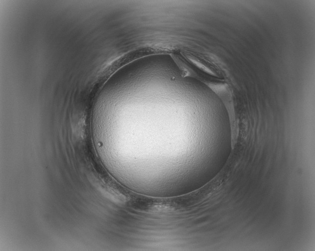 X0000078000596200611101756
