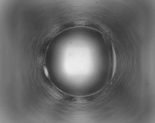 X0000078000601200611101756