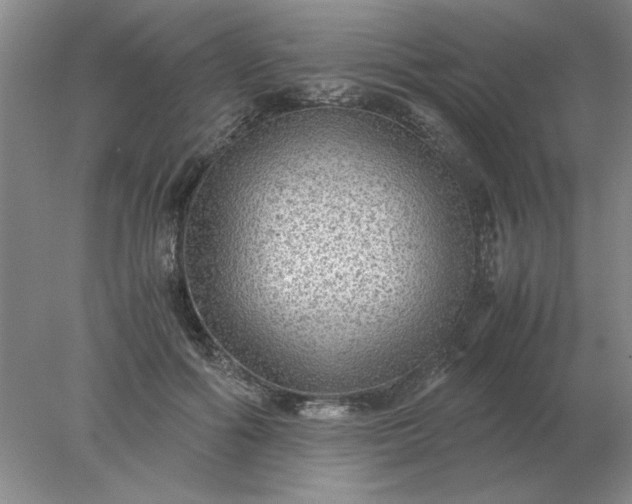 X0000078000602200611101756