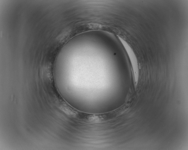 X0000078000616200611101756