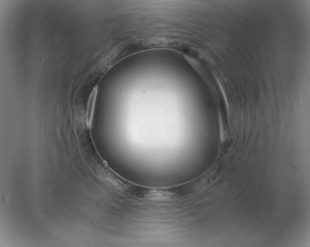 X0000078000617200611101756
