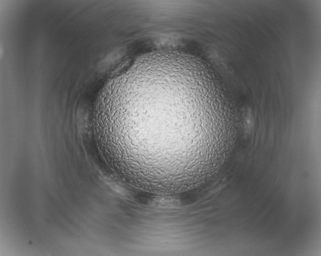 X0000078000619200611101756