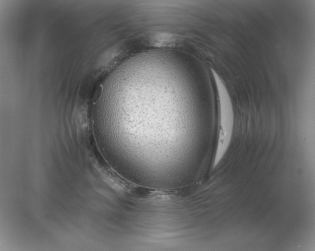 X0000078000620200611101756