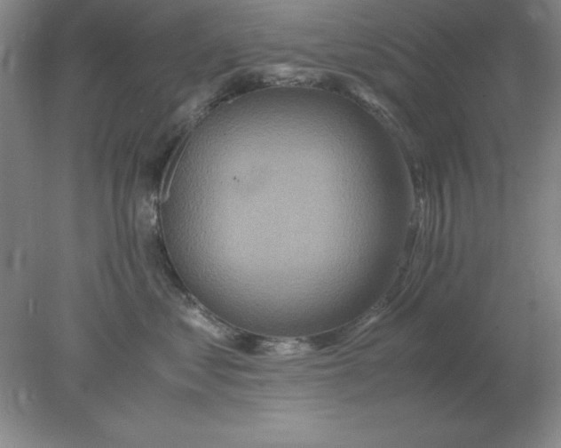 X0000078000621200611101756