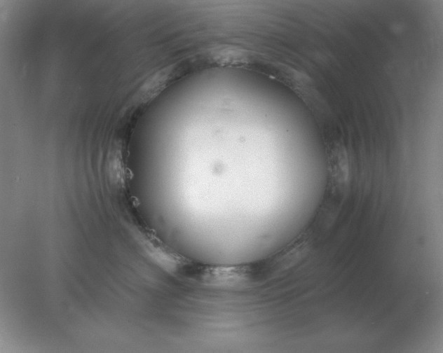 X0000078000622200611101756