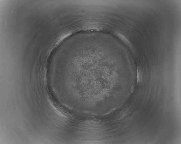 X0000078000627200611101755