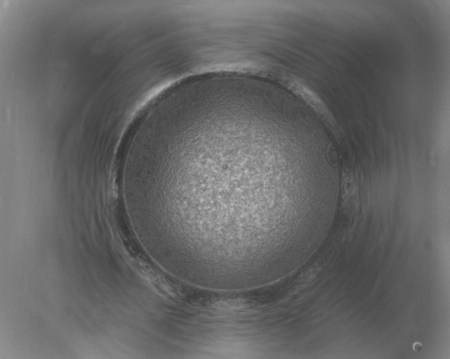 X0000078000628200611101755