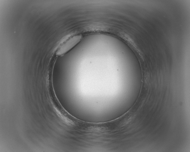 X0000078000629200611101755