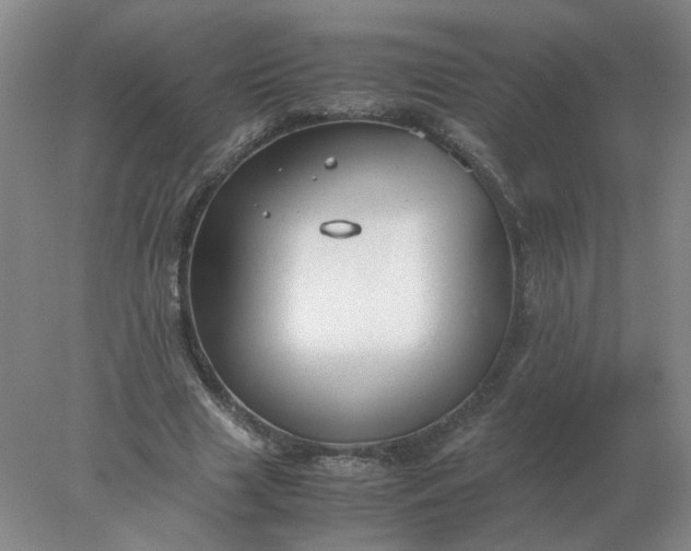 X0000078000633200611101755
