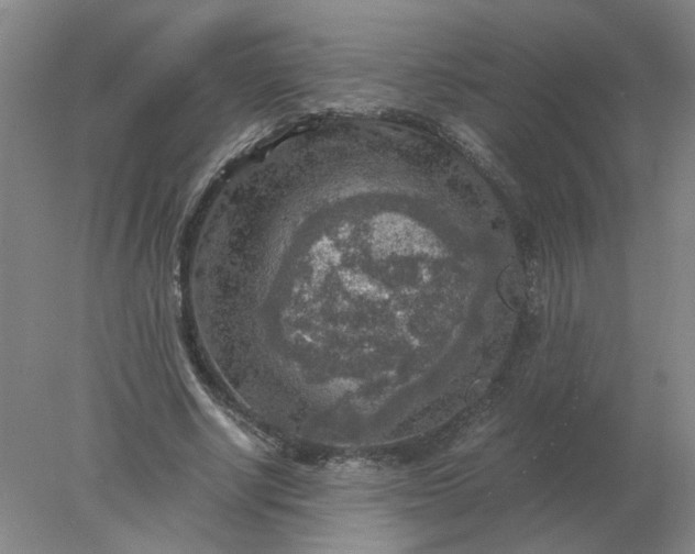 X0000078000634200611101755
