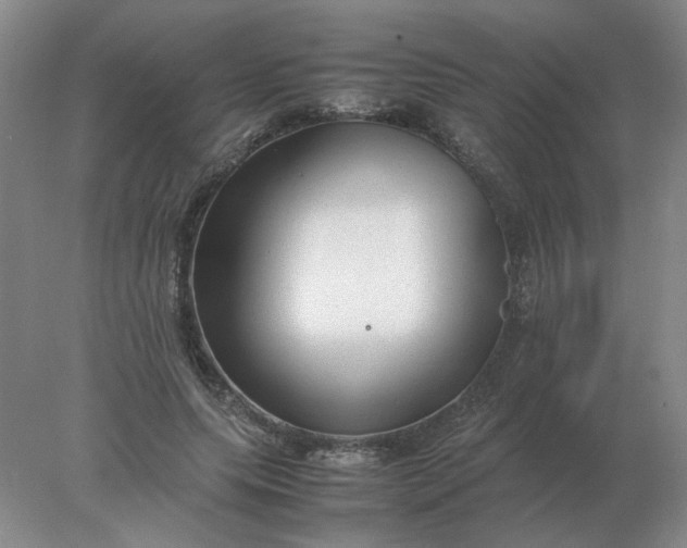 X0000078000639200611101755