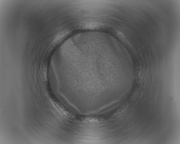 X0000078000640200611101755