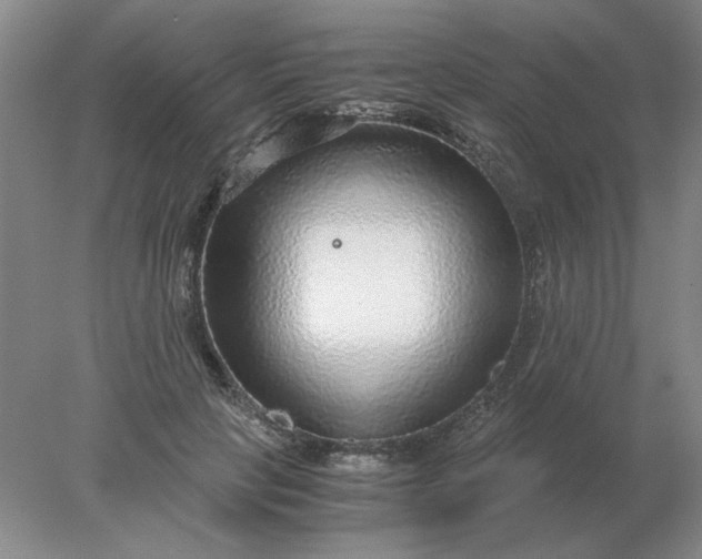 X0000078000649200611101755
