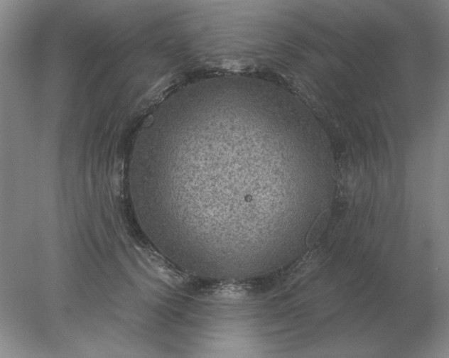 X0000078000656200611101755