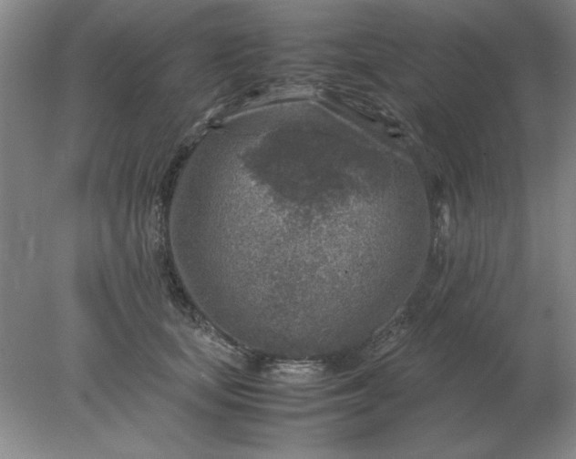 X0000078000659200611101755