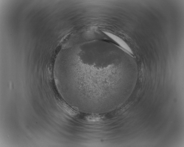 X0000078000661200611101755