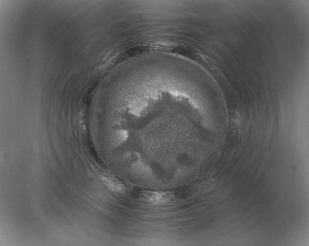 X0000078000663200611101755